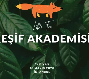 Litlfefox kesifakademisi 160526 360x320