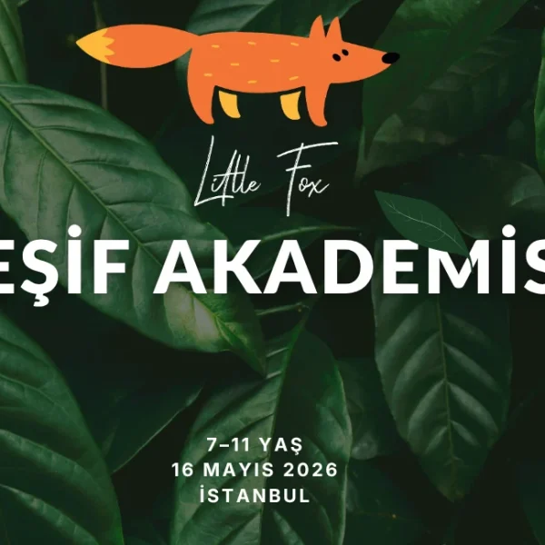 Litlfefox kesifakademisi 160526 600x600
